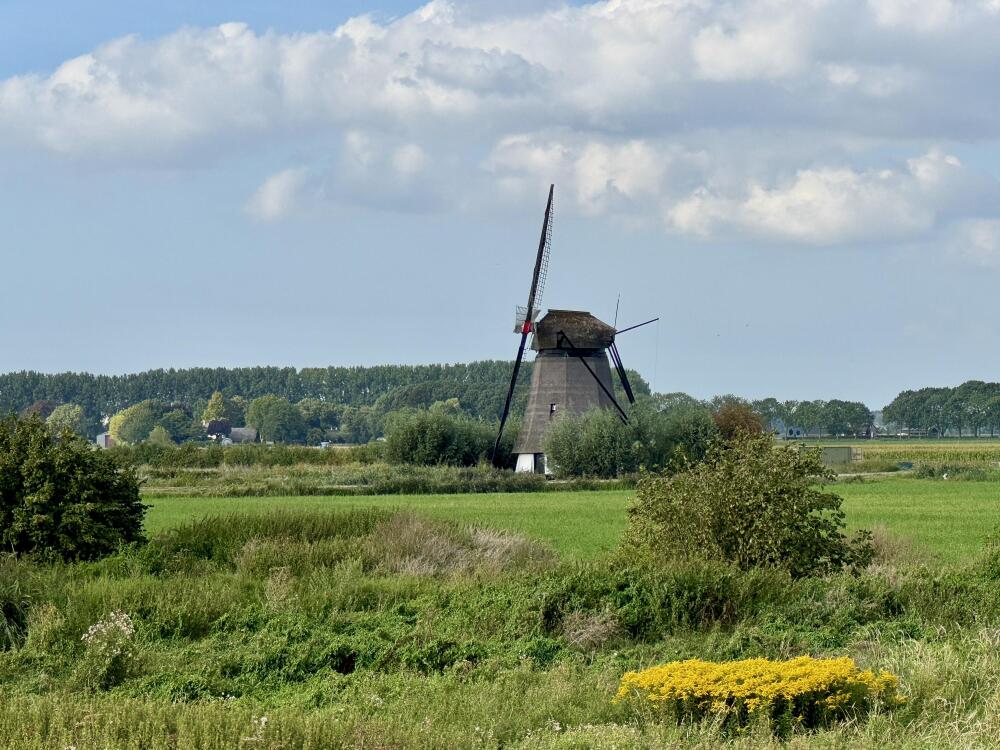 Foto 73 1000w