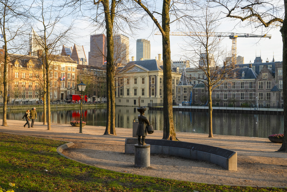 Foto 24 1000w
