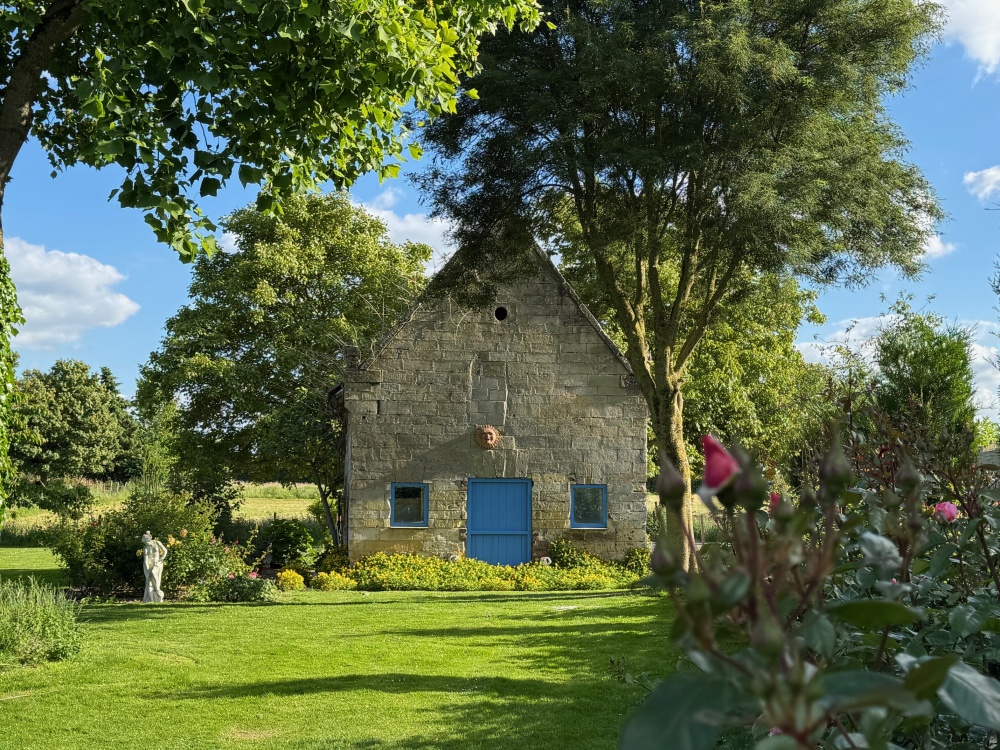 Foto 4 1000w