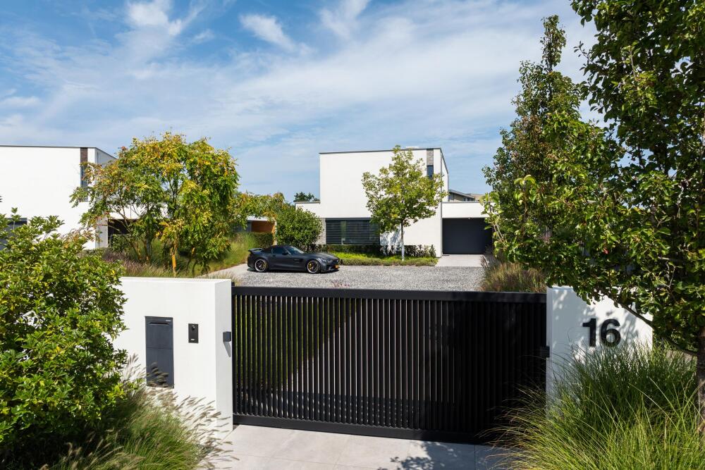 Foto 7 1000w