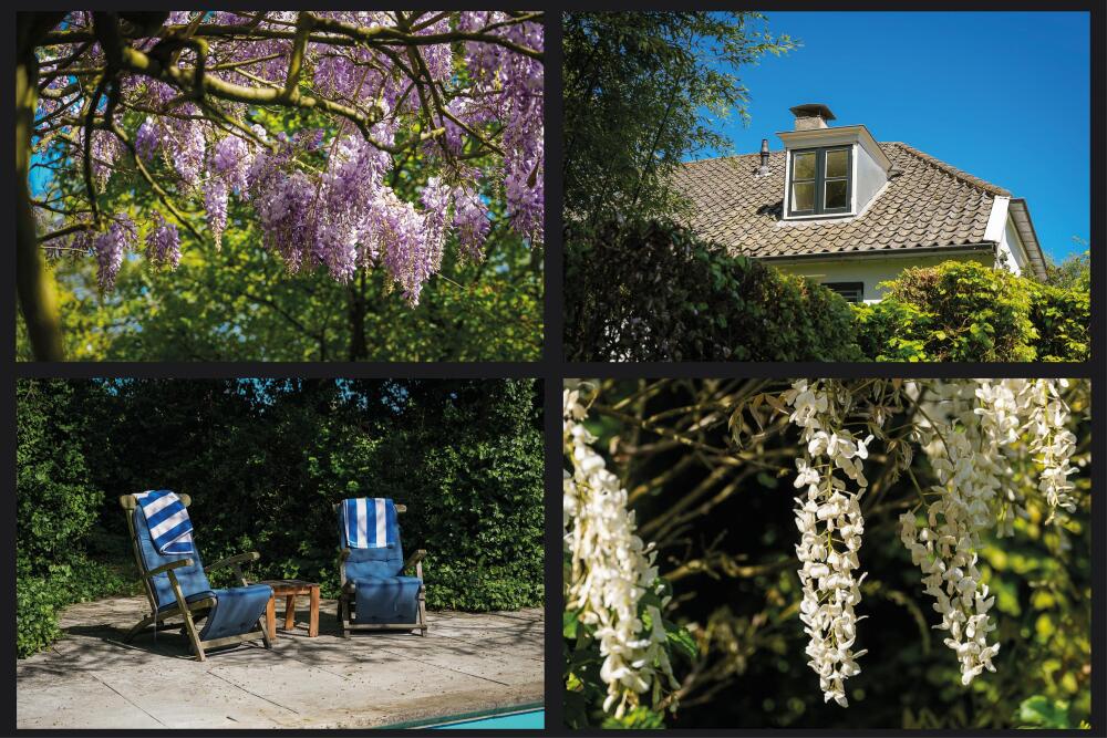 Foto 40 1000w