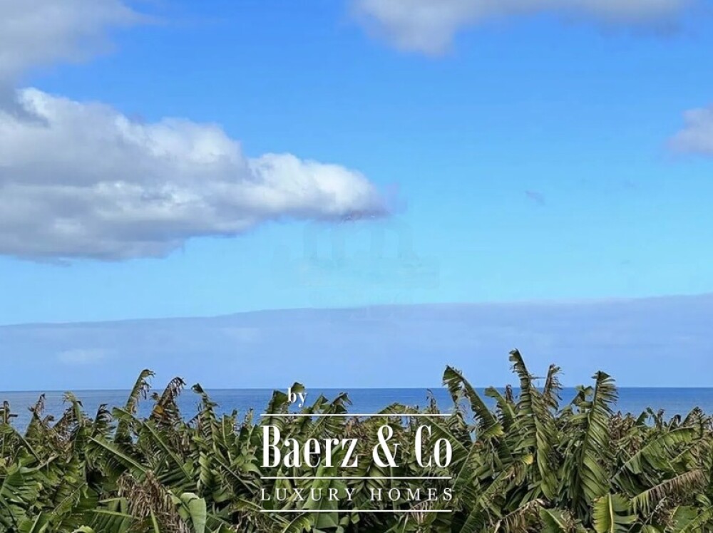Foto 5 1000w