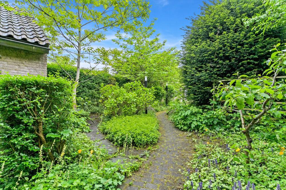 Foto 33 1000w