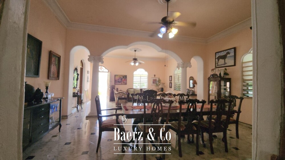Foto 3 1000w