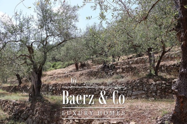 photo 42 Country house for sale 480 m²