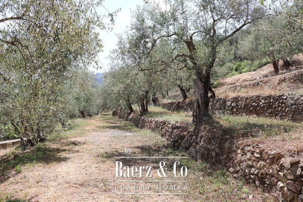 photo 41 Country house for sale 480 m²