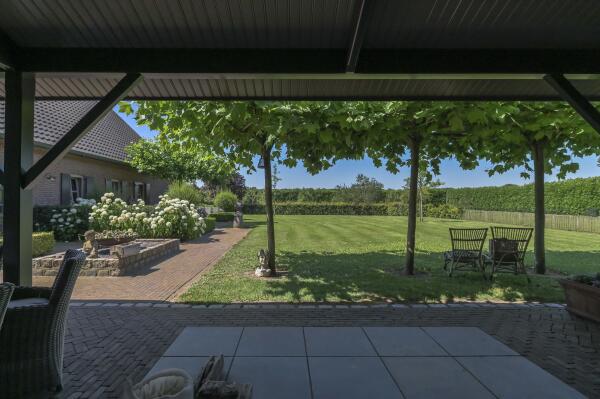photo 38 Hout 9