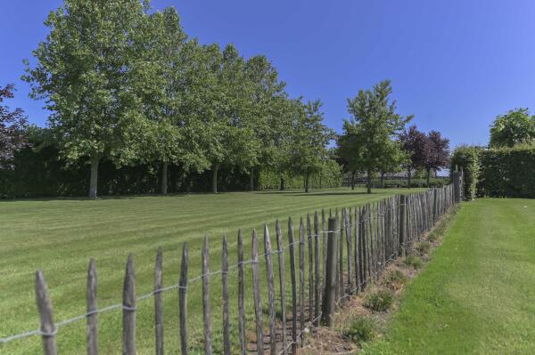photo 40 Hout 9