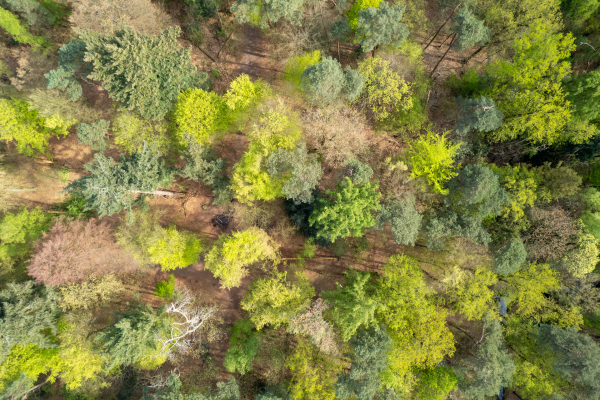 photo 66 Montenspark 1