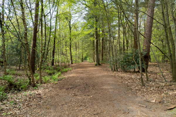 photo 67 Montenspark 1