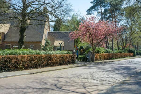 photo 19 Montenspark 1