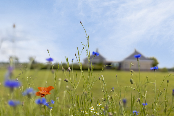 photo 28 Diepenheimseweg 25 a