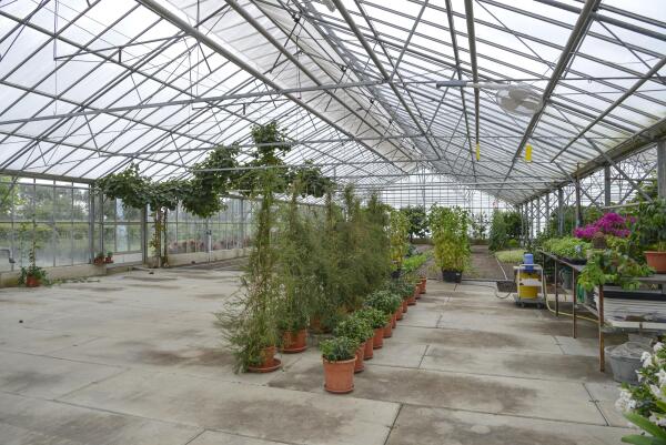 photo 46 Lange Meentweg 4