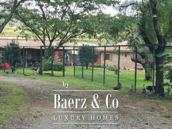 photo 6 Magnificent farm