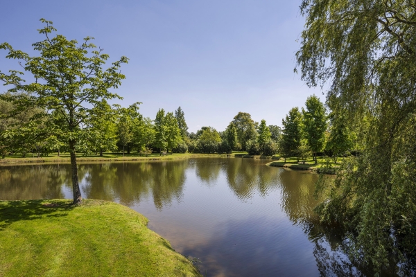 photo 47 De Zonneroos – luxe, privacy en eindeloos genieten.