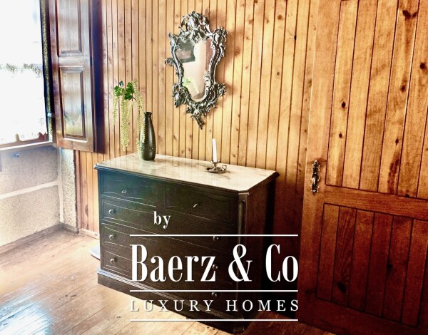 photo 11 Wonderful farm near the Vouga River