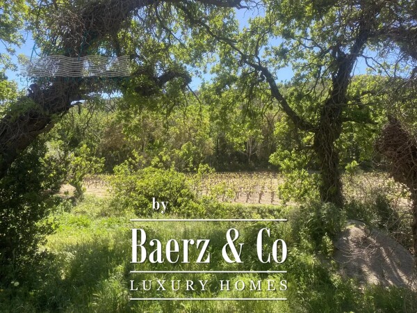 photo 4 30-HECTARE PROPERTY – NEAR SAINT-TROPEZ