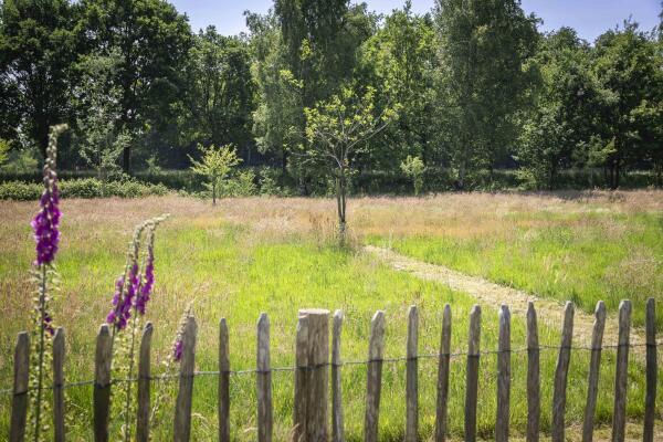 photo 24 Scheggertdijk 84