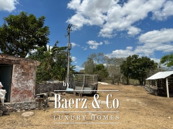 photo 10 Sudzal carretera a Tzalam, Km 7 