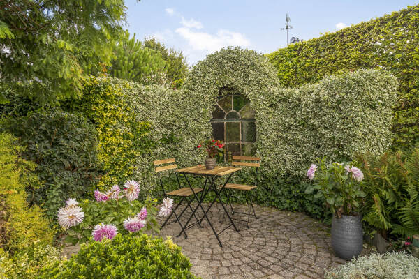 photo 18 Douwes Dekkerlaan 80