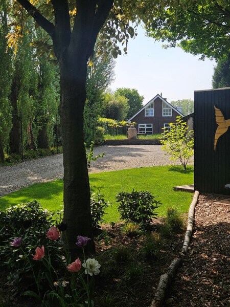 Video Gelders Benedeneind 6