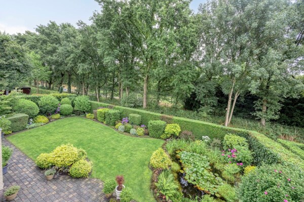 photo 7 Bilzekruid 11