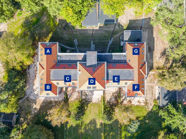 photo 13 Groenelaantje 35 g