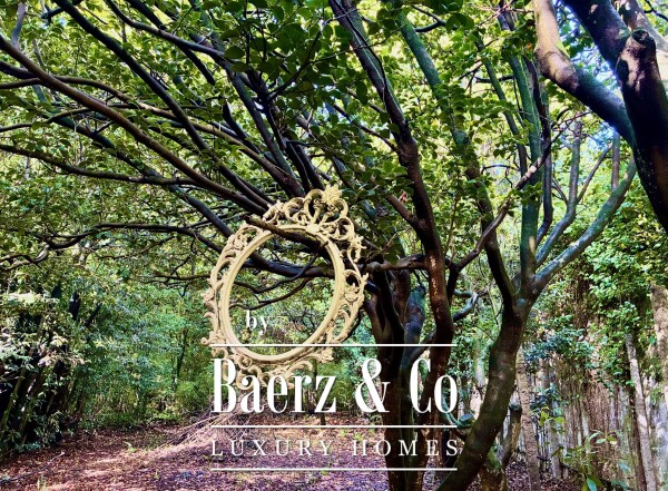 photo 17 Building for restoration - Centre of Porto