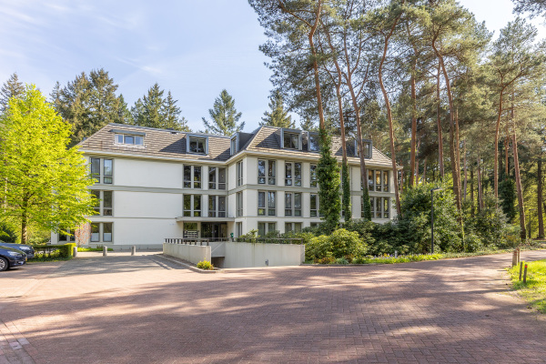 photo 19 Palisiumpark 26