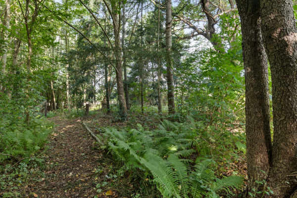 photo 34 Hanetangerweg 6