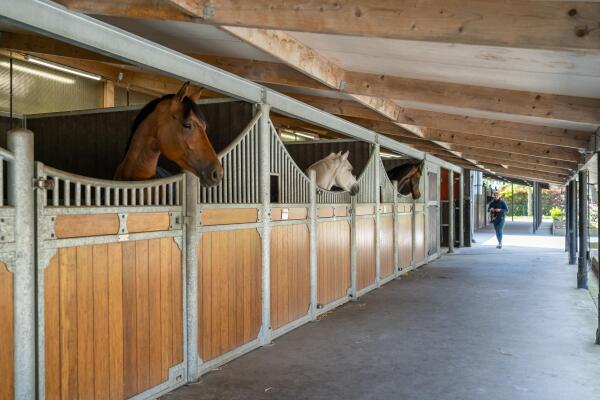 photo 30 Kapelstraat 12 14