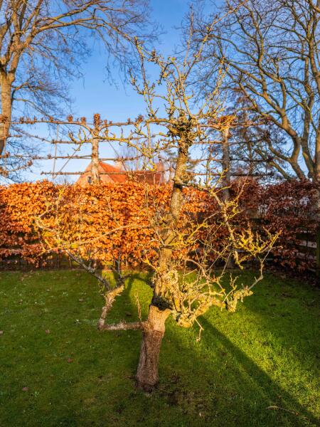 photo 35 Westerweg 71