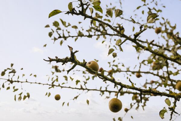 photo 73 Hardermaat 12