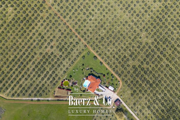 photo 10 Exclusive 12-Ha Olive Estate with Sea Views and Premium Golf Lifestyle in Savudrija, Istria