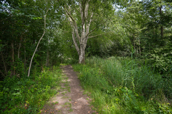 photo 92 Groenwal 25